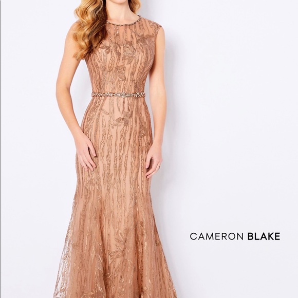 Cameron Blake Mother of the Bride Dress